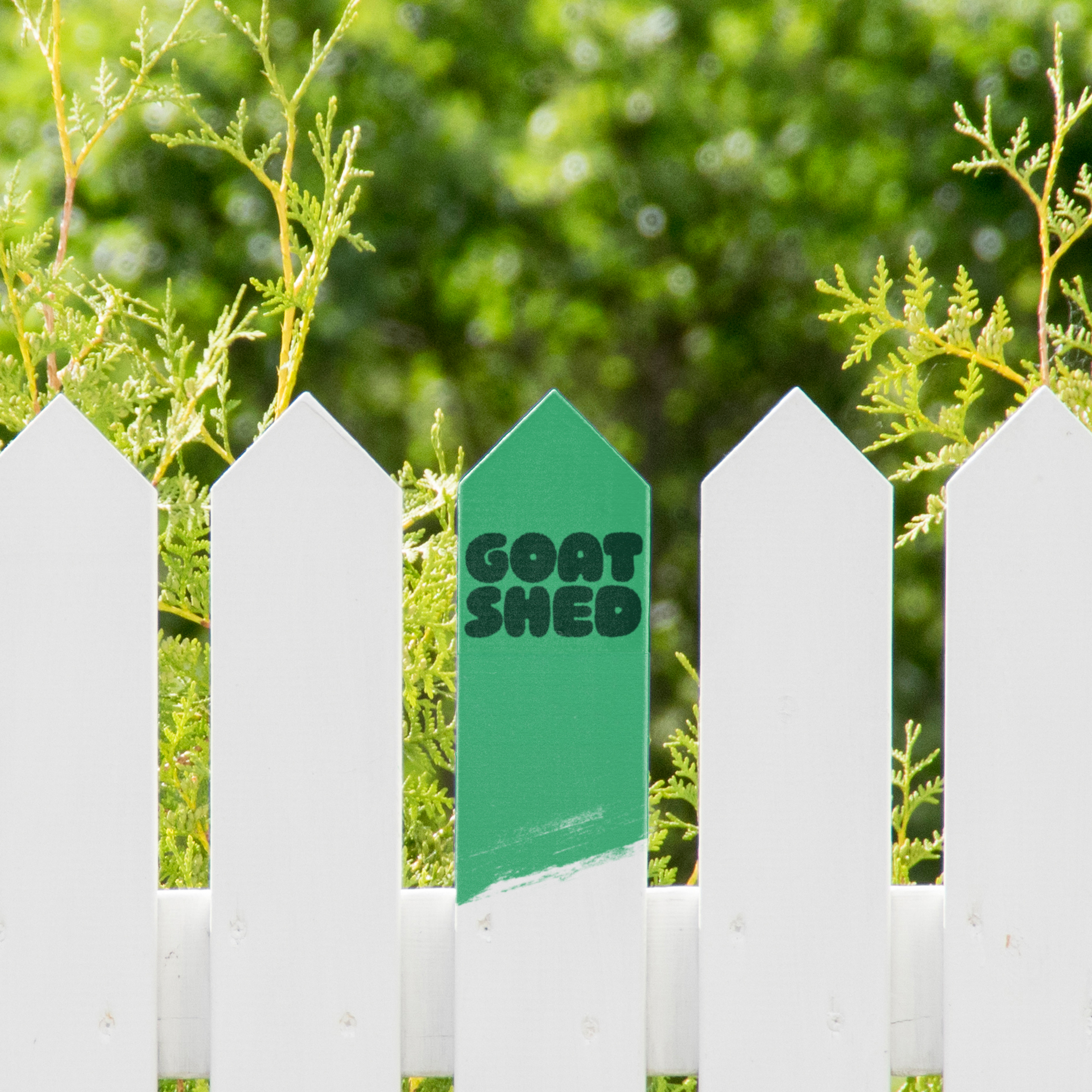 Goat shed picket fence