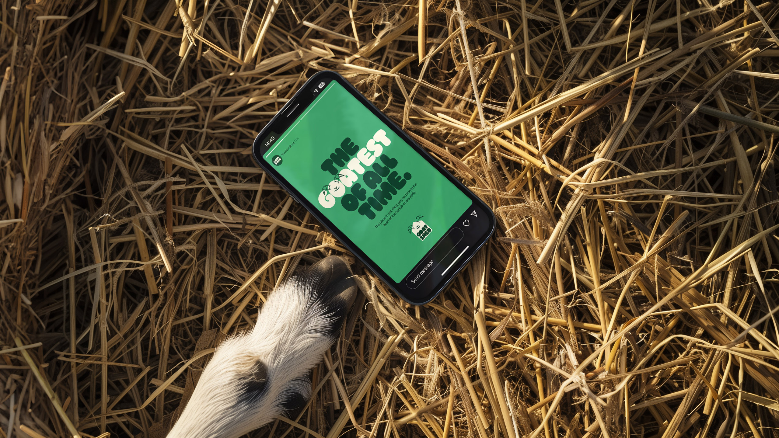 Goat shed on a phone