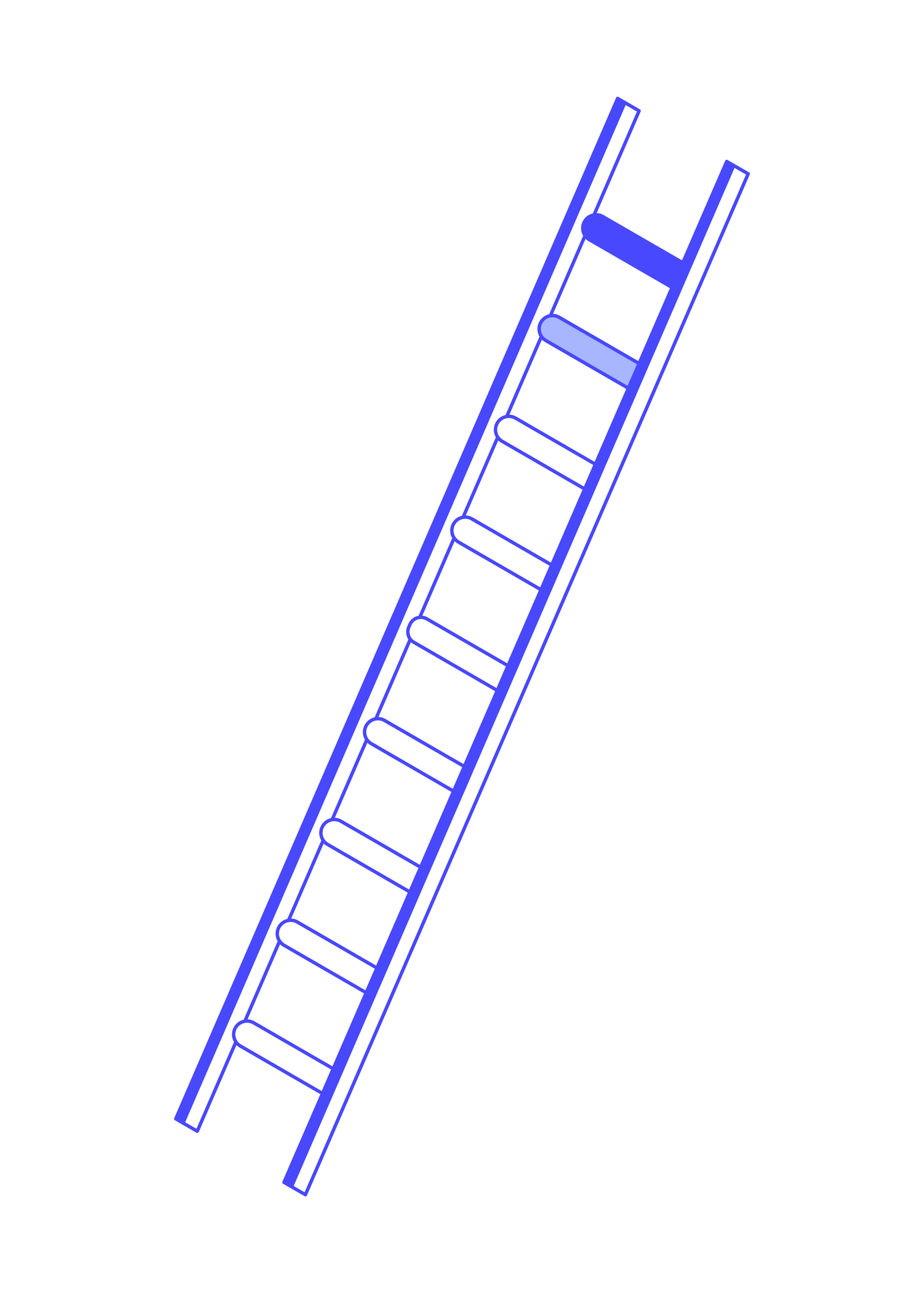One of the brand's many new graphics, this one is a ladder.