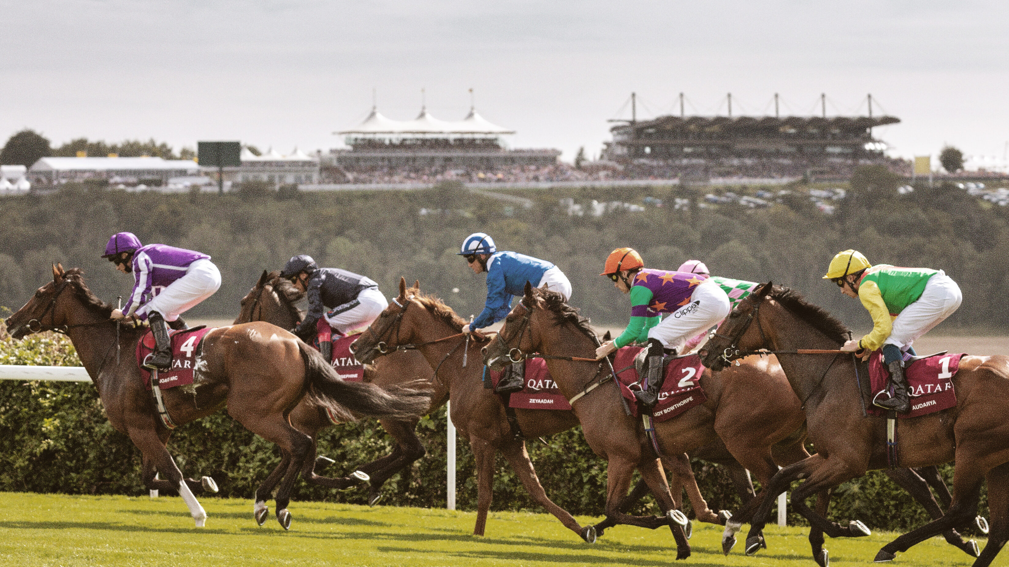 Horses racing at the Goodwood Racecourse