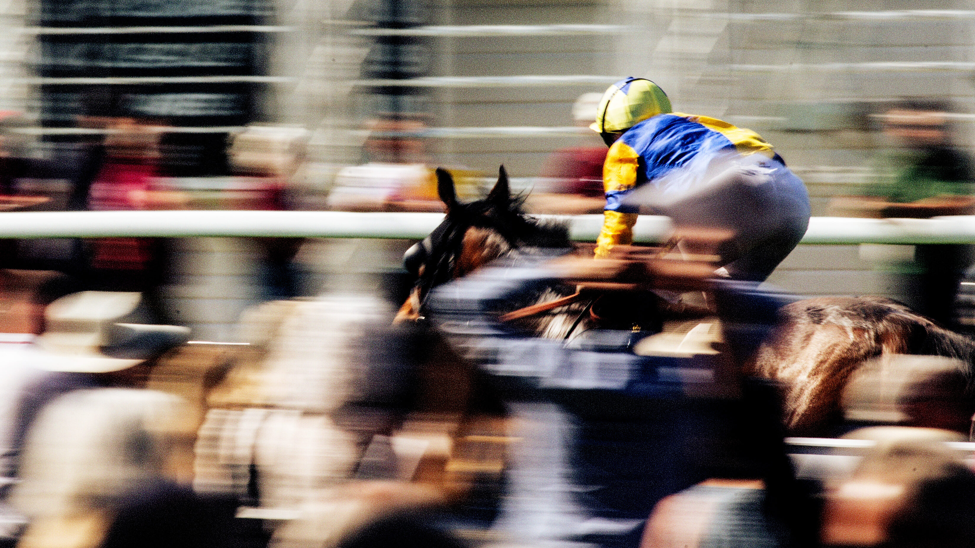 A horse running fast at the racecourse