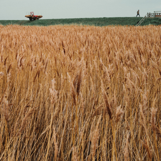 UnitedUs - Brand agency and business consultancy delivering catalytic creativity and confidence that works in the wild.