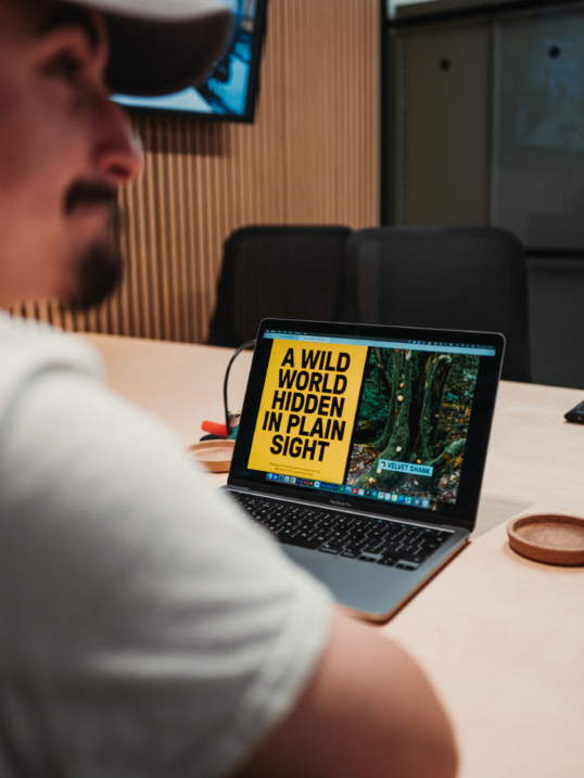 UnitedUs - Brand agency and business consultancy delivering catalytic creativity and confidence that works in the wild.