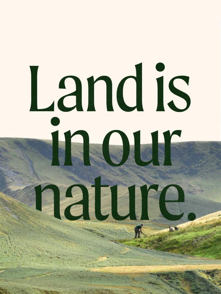 UnitedUs - Brand agency and business consultancy delivering catalytic creativity and confidence that works in the wild.